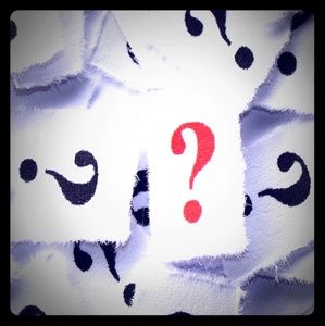 Mystery lularoe  bag